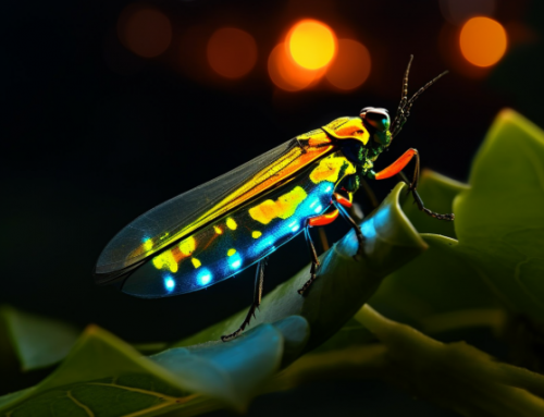 Adobe Firefly’s Ethical Approach to AI-Based Tools and Workflows