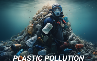 Plastic Pollution