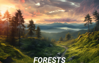 Forests