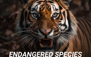 endangered