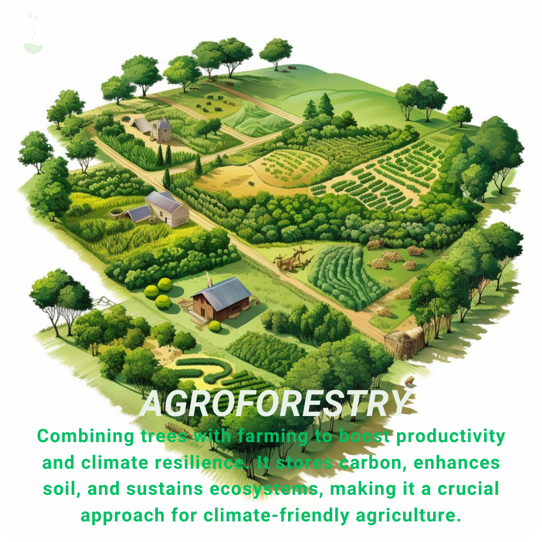 Climate Change Poster - Agroforestry