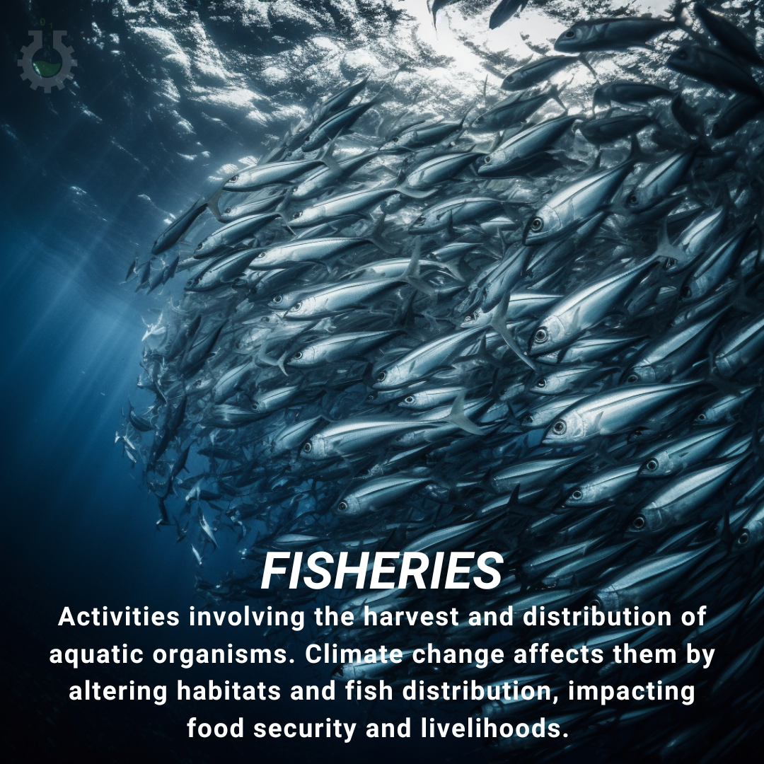 Climate Change Poster Fisheries