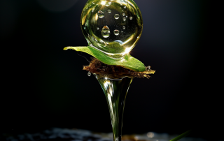 water droplet