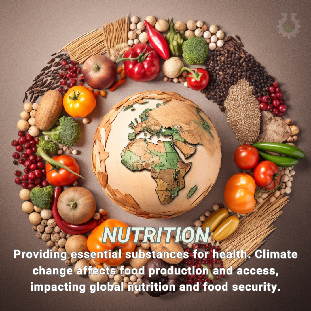 Climate Change Poster - Nutrition