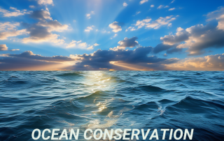 Climate Change Poster - Ocean Conservation