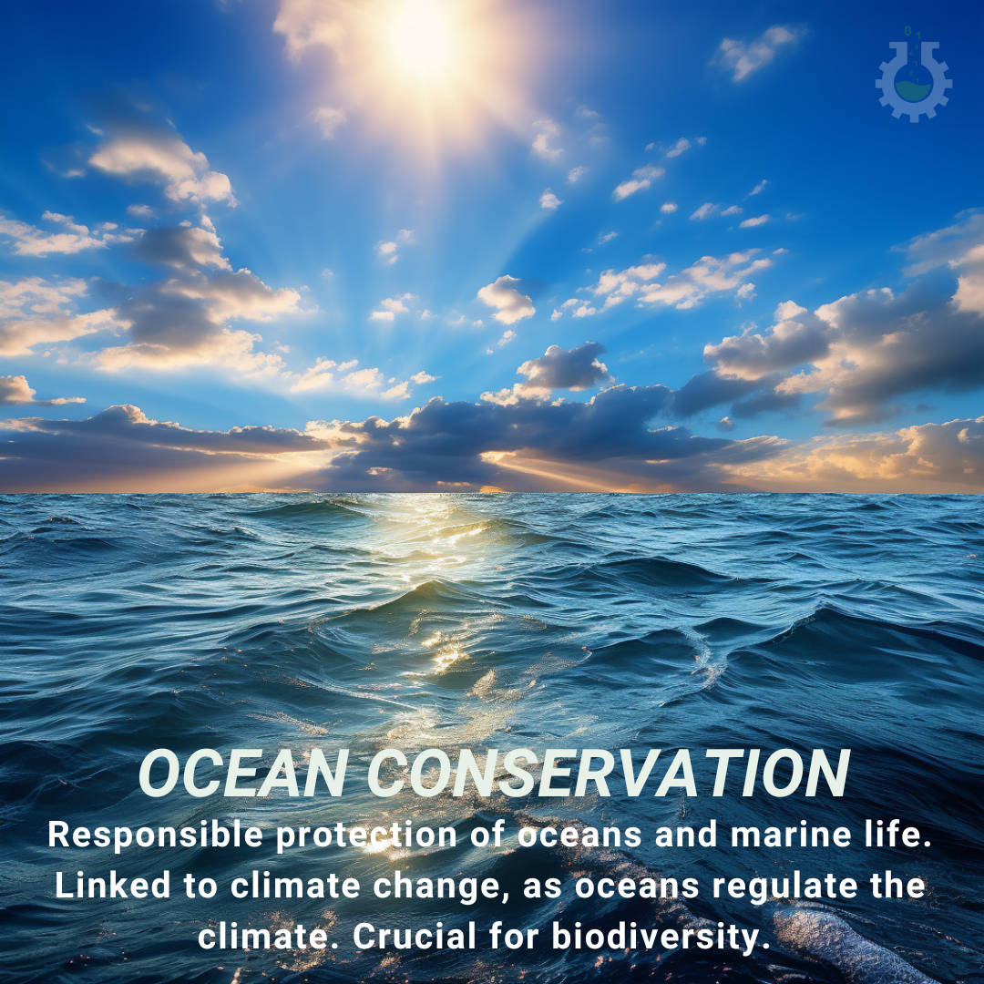 Climate Change Poster - Ocean Conservation