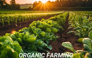 Climate Change Poster Organic Farming