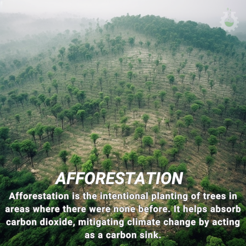 Afforestation - Science4Data