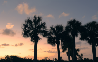 Floridian Attitudes - Insights from the Florida Climate Resilience Survey