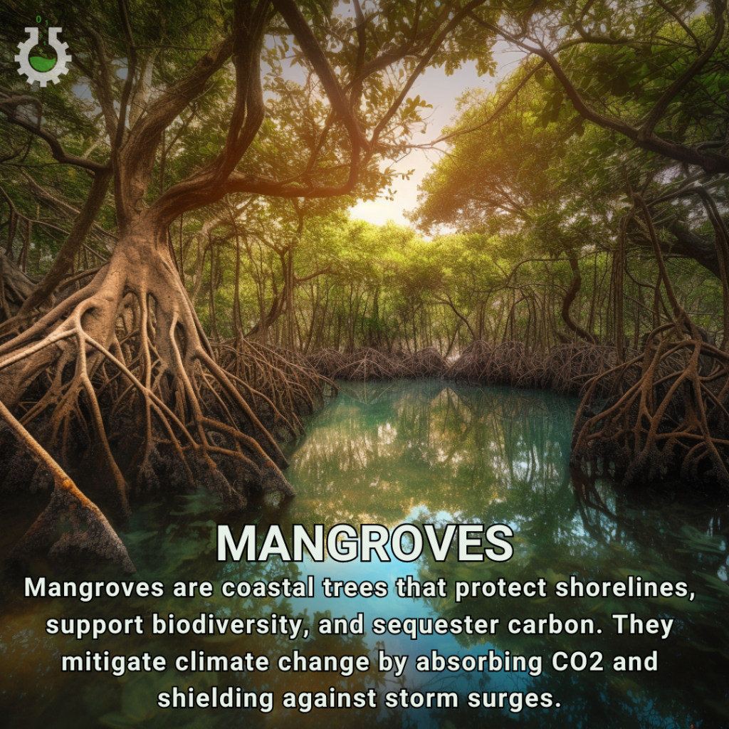 Mangroves - Science4Data