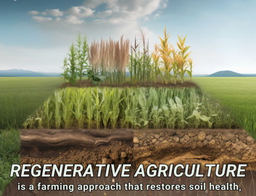 Climate Change Poster Collection of the Day – Regenerative Agriculture