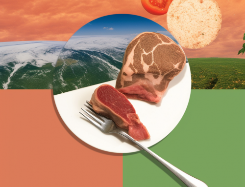 The Unseen Connection Between Diet and Climate Change