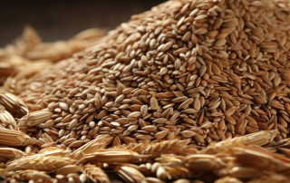 Norway's Proactive Approach - Stockpiling Grain for Future Crises Amid Global Concerns