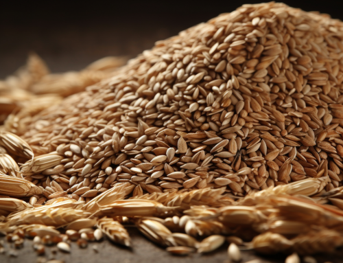 Norway’s Proactive Approach – Stockpiling Grain for Future Crises Amid Global Concerns