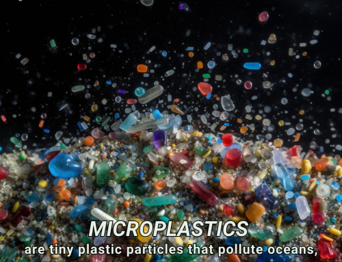 Climate Change Poster Collection of the Day – Microplastics