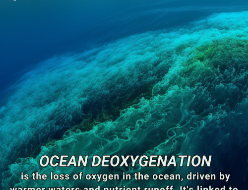 Climate Change Poster Collection of the Day – Ocean Deoxygenation